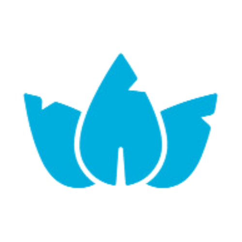 Ikona Medical